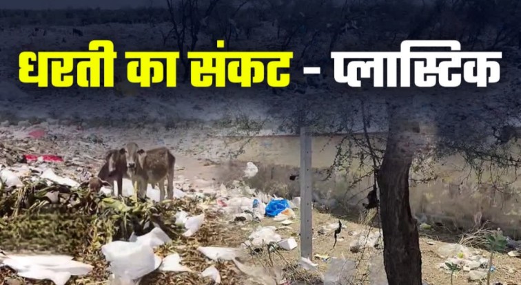 प्लास्टिक का ज़हर: मौत के मुहाने पर जल और जंगल के जीव